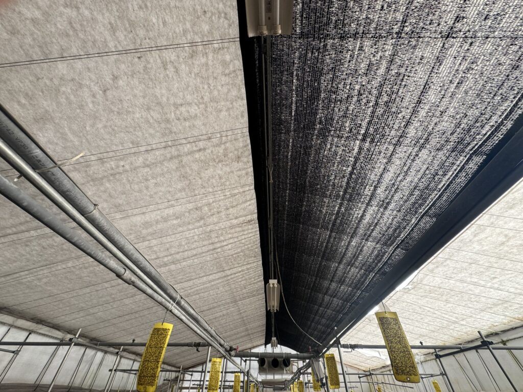 環境制御型ハウスに変更2