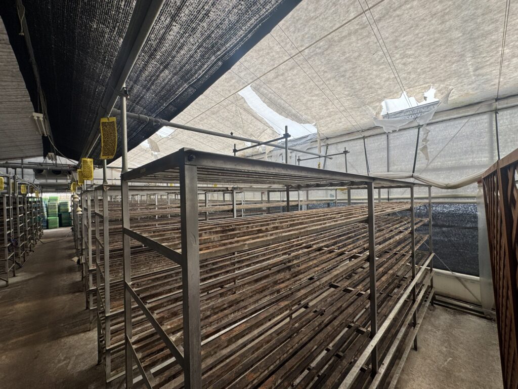 環境制御型ハウスに変更2