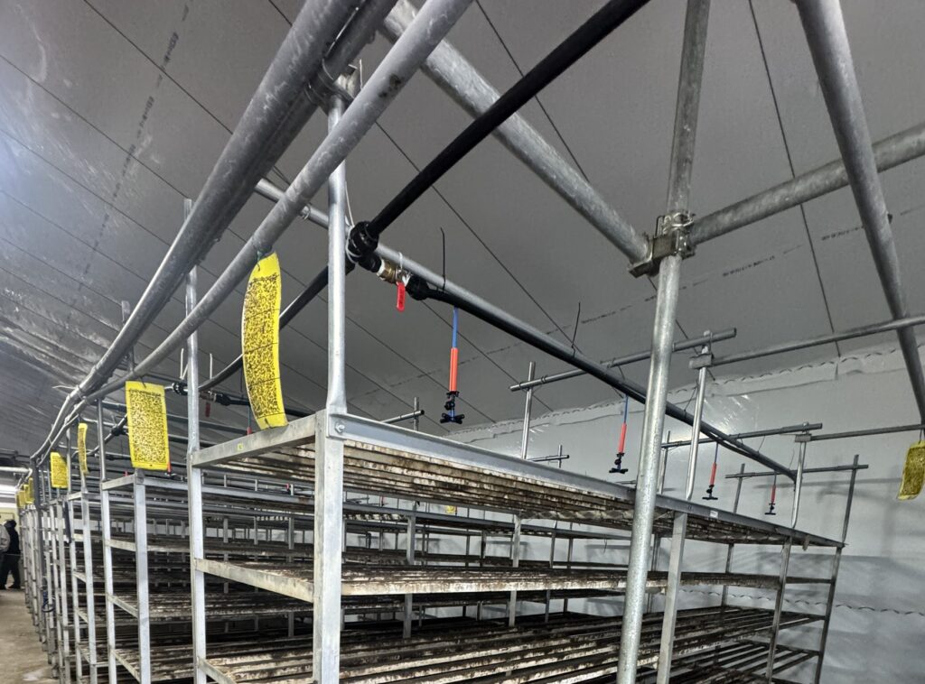 環境制御型ハウスに変更2