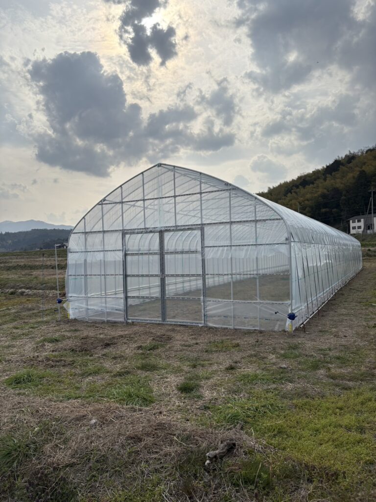 アーチパイプハウス設置工事2